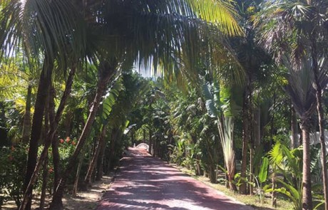 Grand Roatan