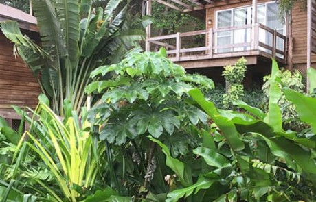 Grand Roatan